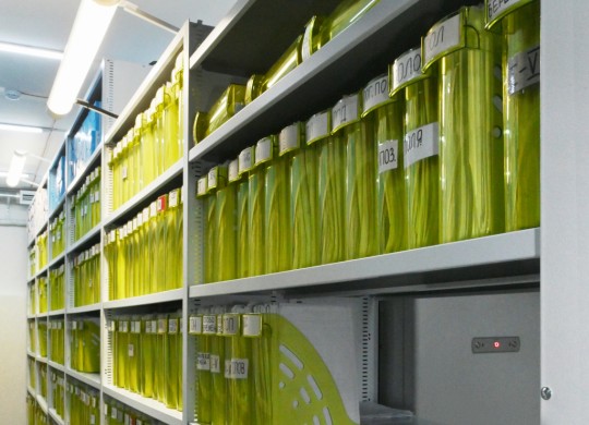 Плохое освещение